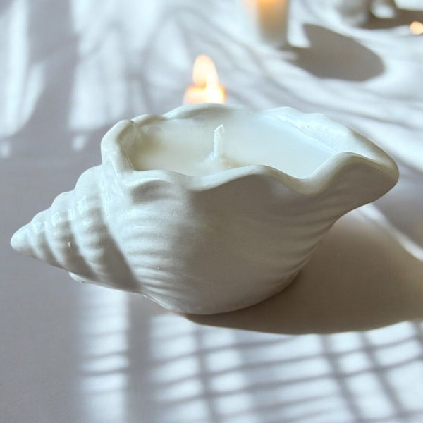 Concrete Shell, Decorative Candle, Coconut Apricot Luxury Wax.