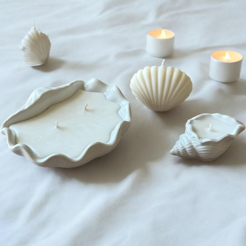 Set of Shells, Decorative Candles, Coconut Apricot Luxury Wax.