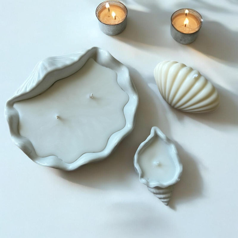 Set of Shells, Decorative Candles, Coconut Apricot Luxury Wax.